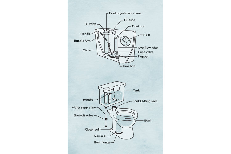 Toilet bowl on sale parts